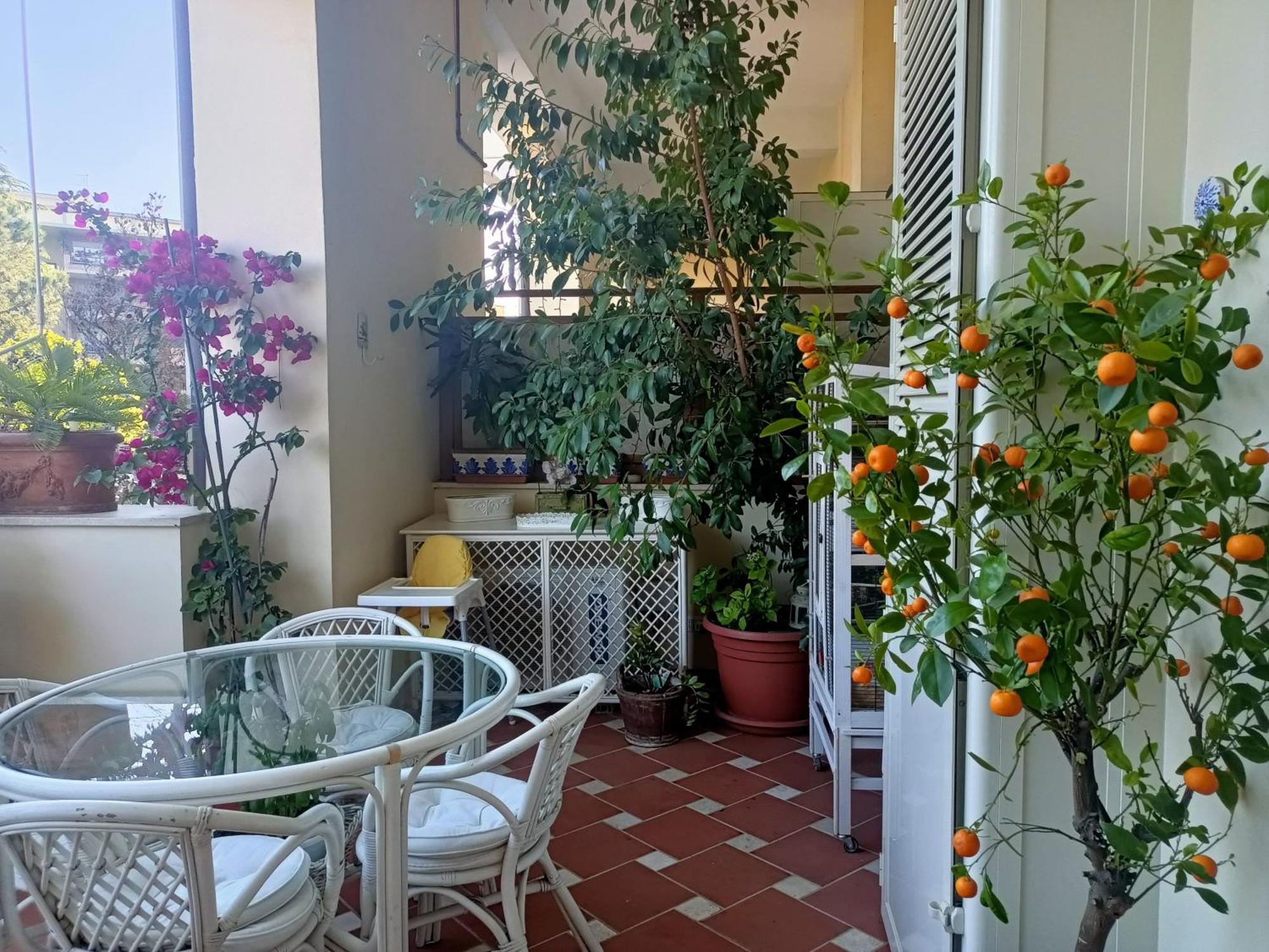 Apartamento Le Terrazze Della Farnesina Policlinico Gemelli